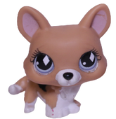 #0639 Corgi